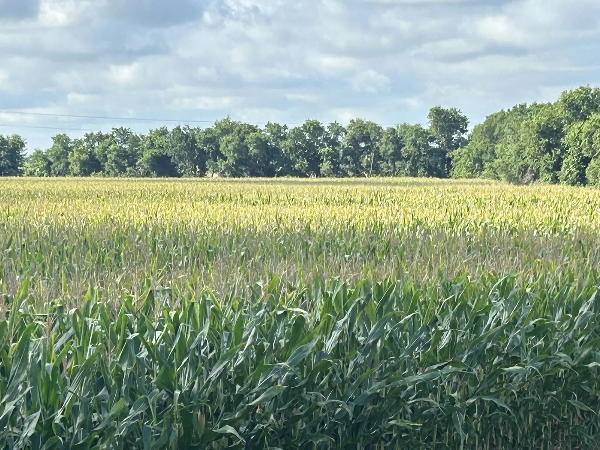 photo undefined: Apple Cider Rd , Temple TX 76501, Temple Texas 76501