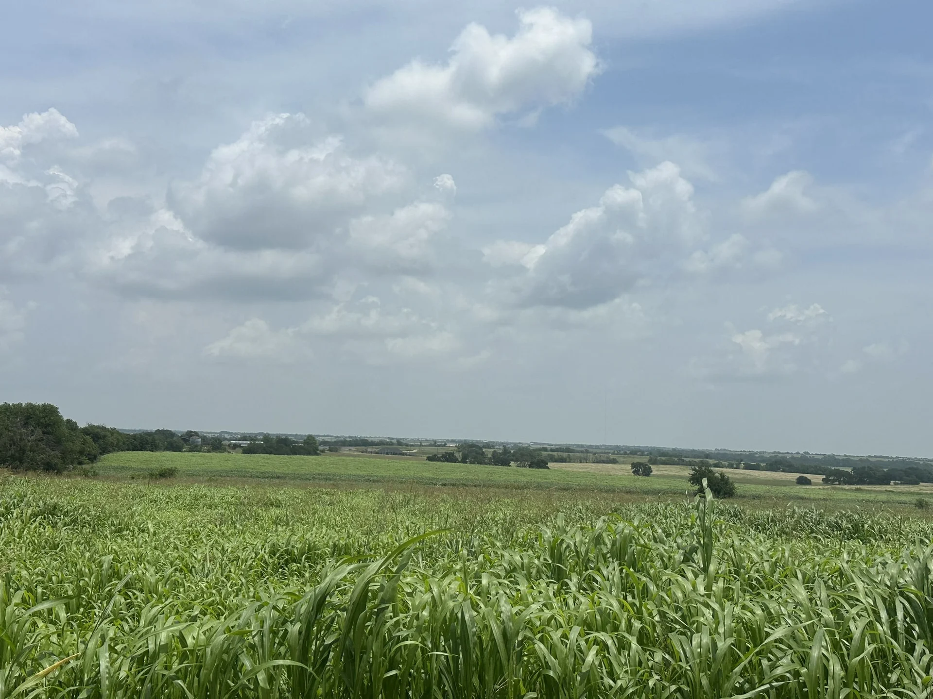 photo undefined: 99999 E Main St , Troy TX 76579, Troy Texas 76579